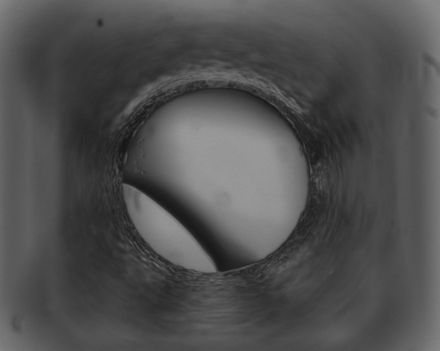 X0000093211495200709261415