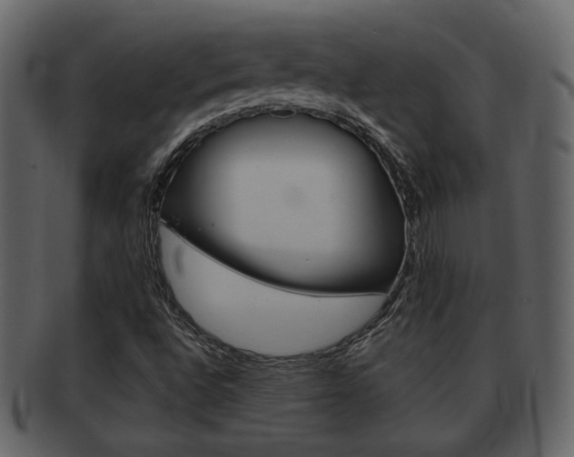X0000093211496200709261415