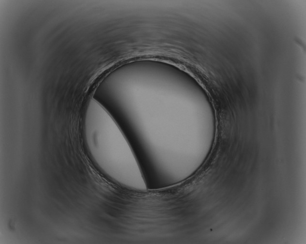 X0000093211497200709261415