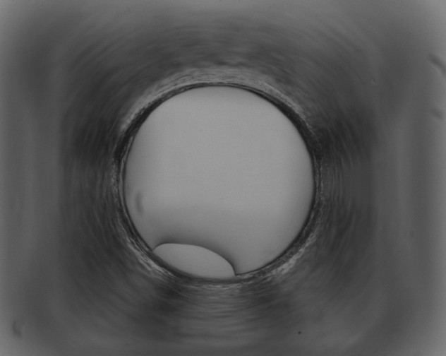 X0000093211498200709261415