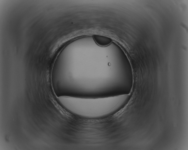 X0000093211499200709261415