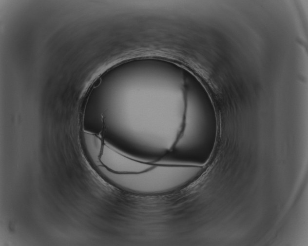 X0000093211500200709261415
