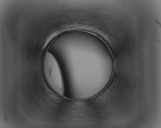 X0000093211501200709261415
