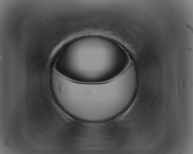 X0000093211502200709261415