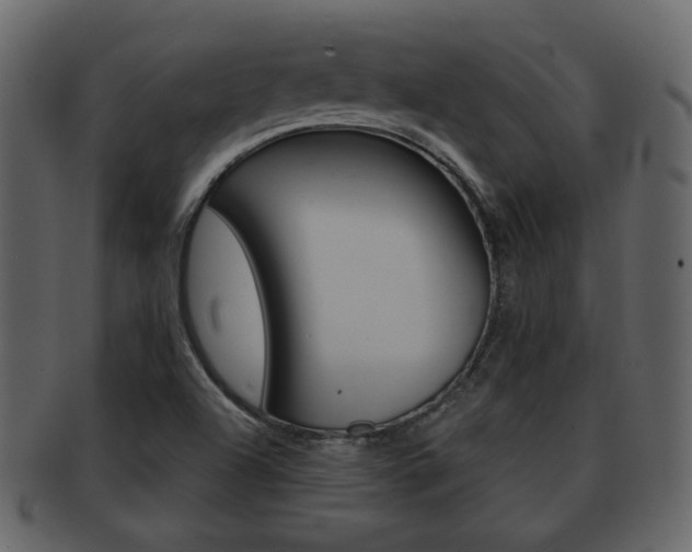 X0000093211504200709261415