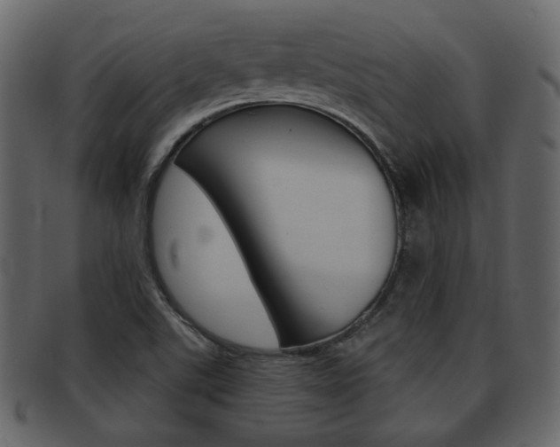 X0000093211507200709261415