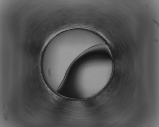 X0000093211508200709261415