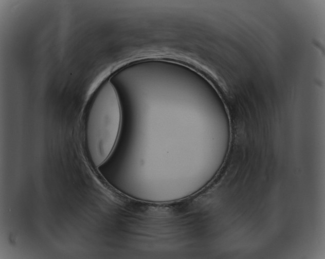 X0000093211509200709261415