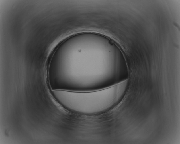 X0000093211511200709261415