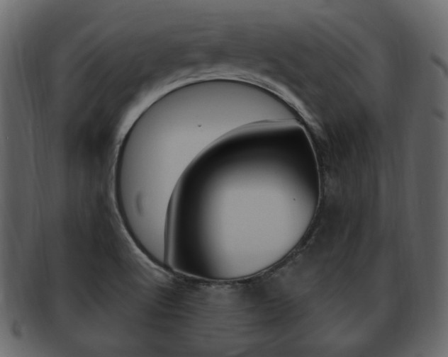 X0000093211512200709261415