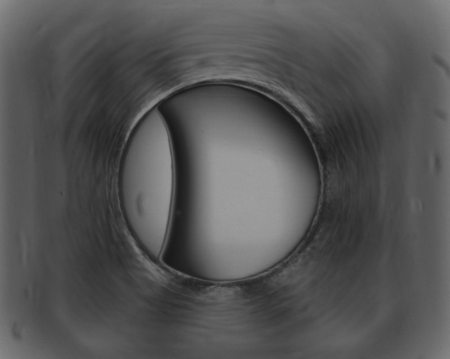 X0000093211513200709261415