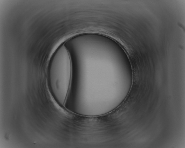 X0000093211515200709261415