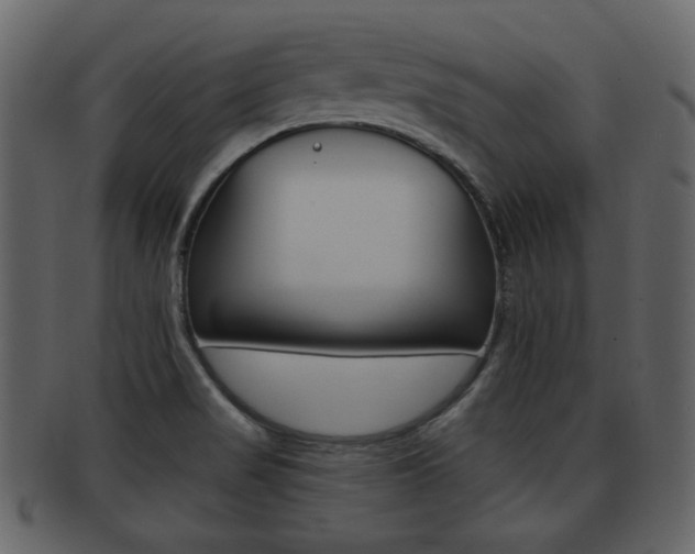 X0000093211517200709261415