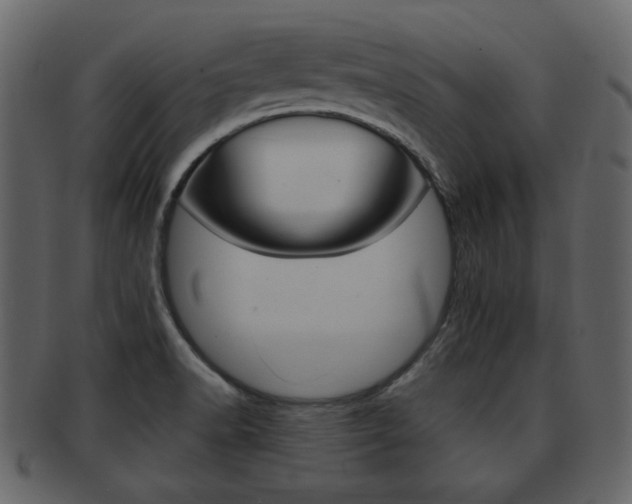 X0000093211518200709261415