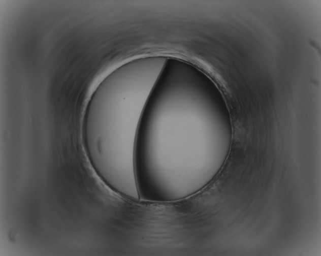 X0000093211520200709261415