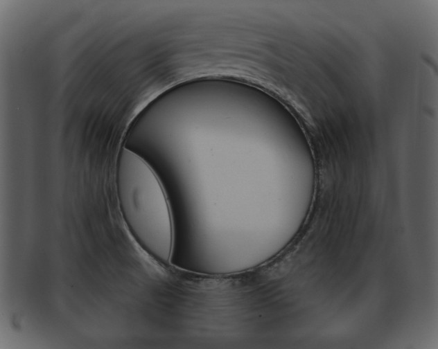 X0000093211521200709261415