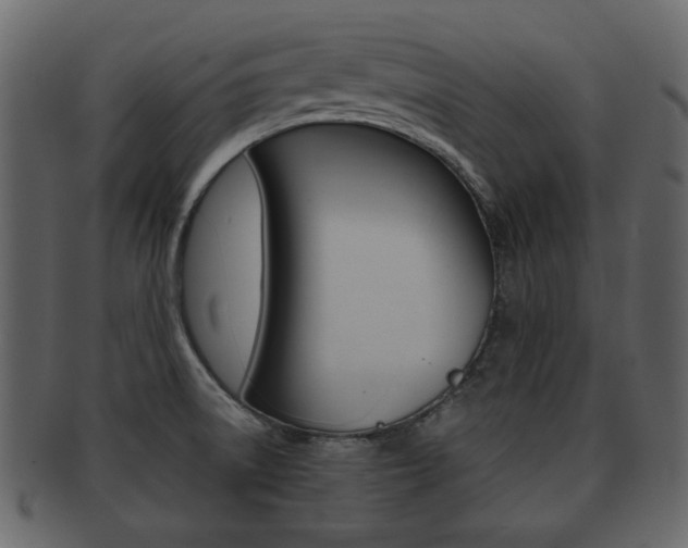 X0000093211522200709261415