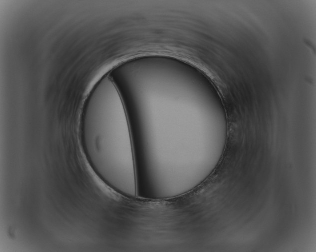 X0000093211523200709261415