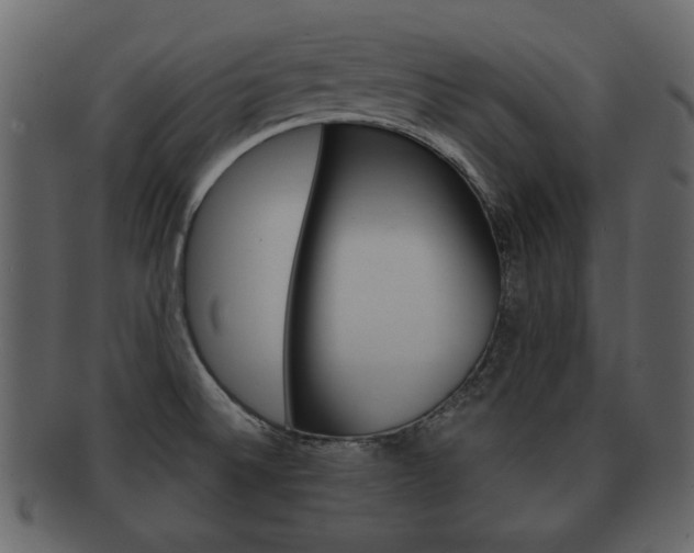 X0000093211524200709261415