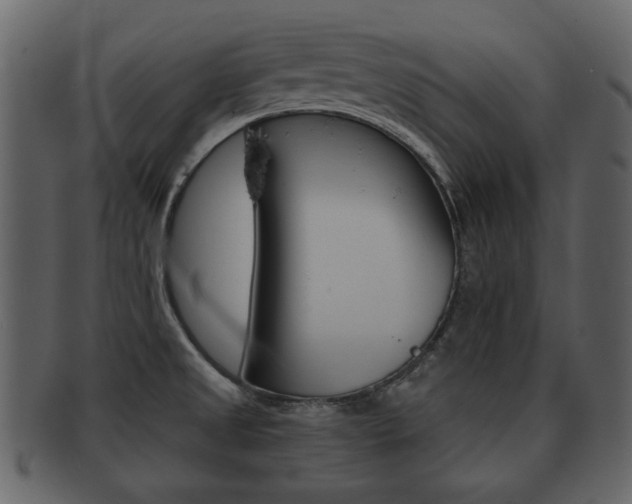 X0000093211525200709261415