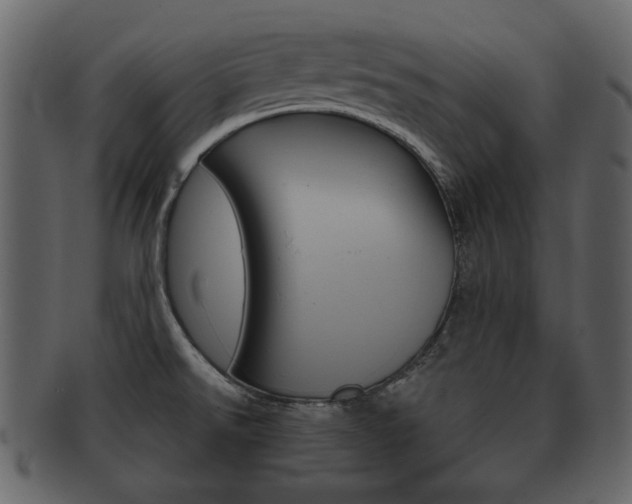 X0000093211526200709261416