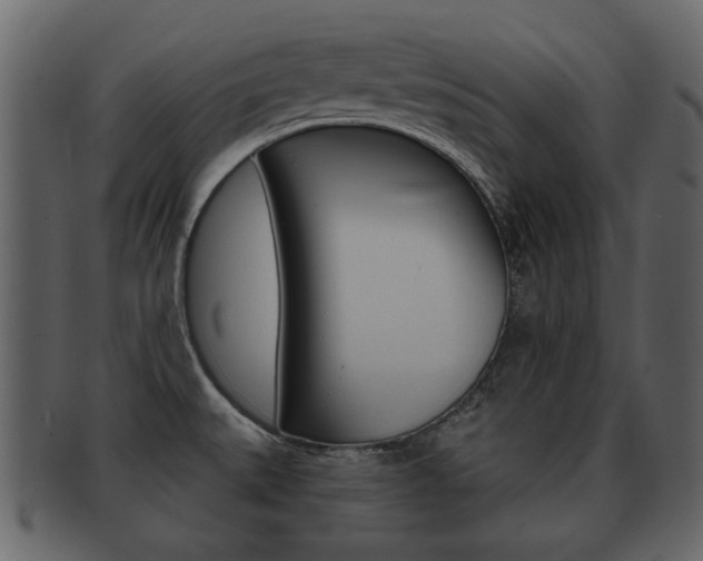 X0000093211527200709261416