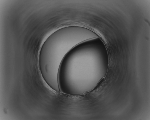 X0000093211528200709261416