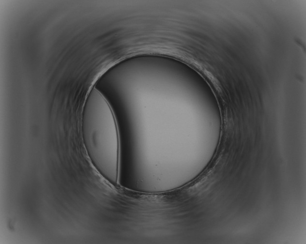 X0000093211529200709261416