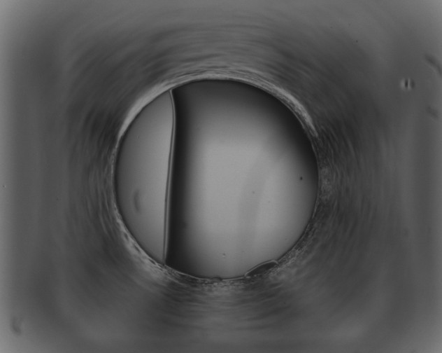 X0000093211530200709261416