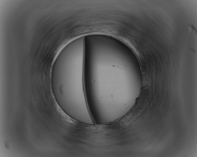 X0000093211532200709261416