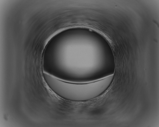 X0000093211534200709261416