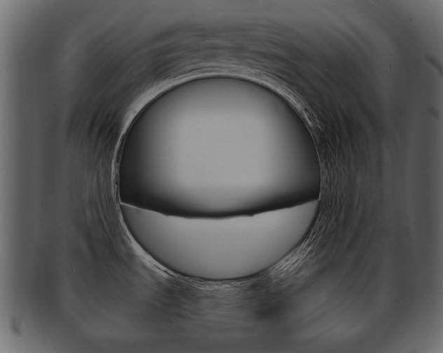 X0000093211535200709261416