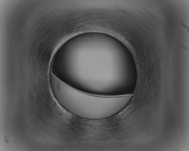 X0000093211536200709261416