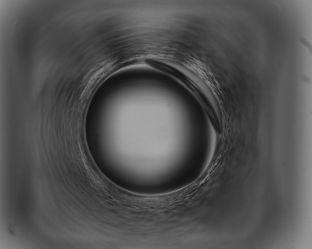 X0000093210001200709261606