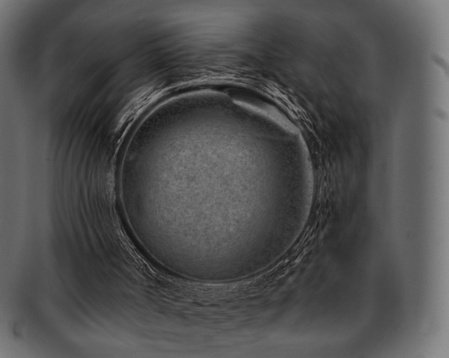 X0000093210002200709261606