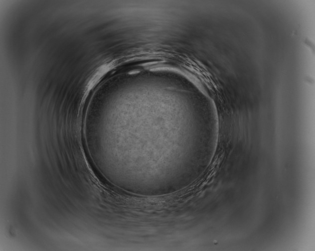 X0000093210003200709261606