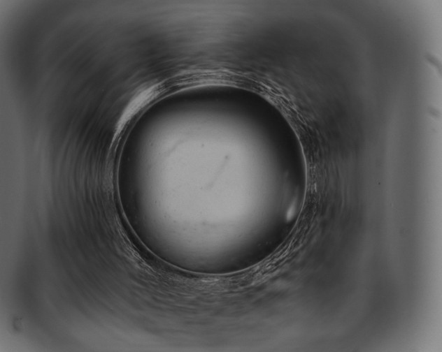 X0000093210004200709261606