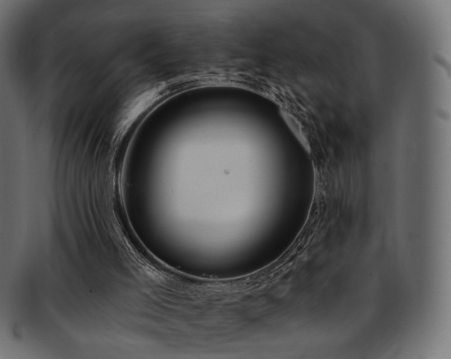 X0000093210005200709261606