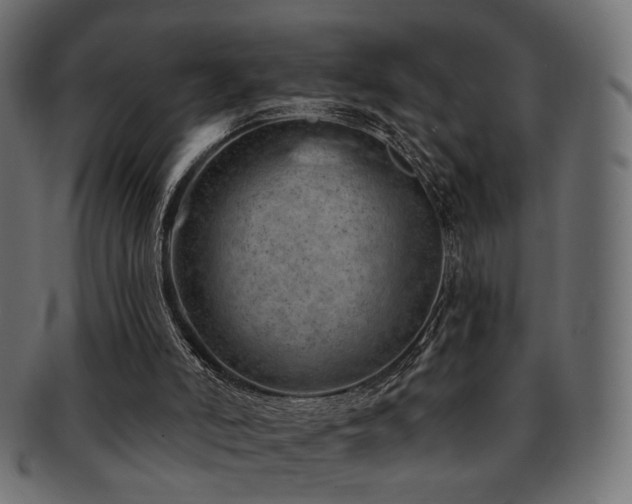 X0000093210006200709261606