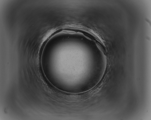 X0000093210008200709261606