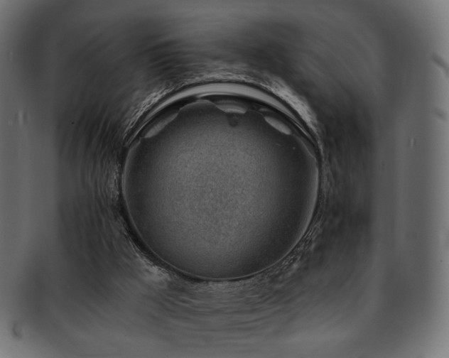 X0000093210009200709261606