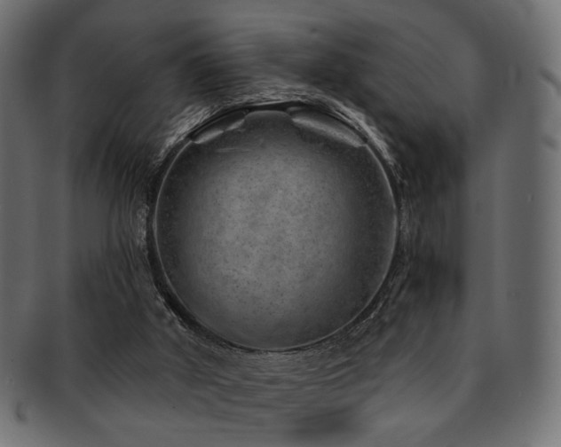 X0000093210010200709261606