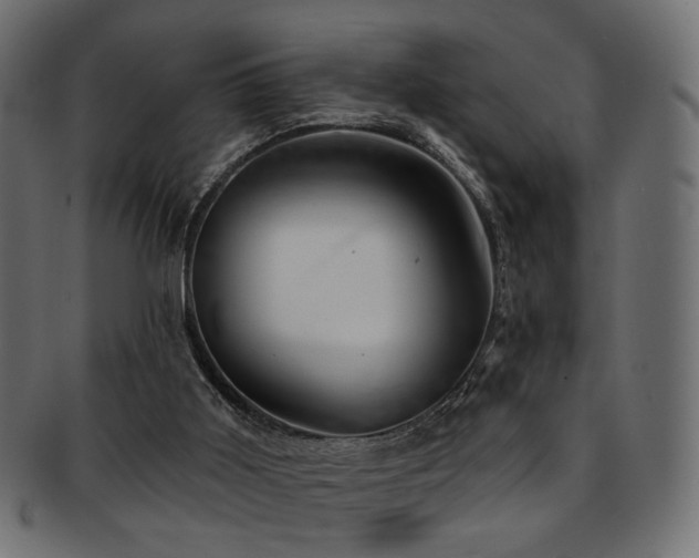 X0000093210011200709261606