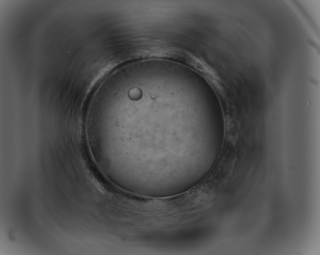 X0000093210012200709261606