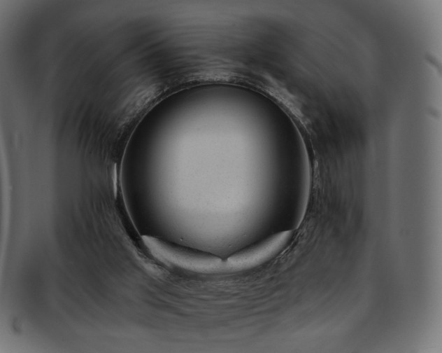 X0000093210013200709261606