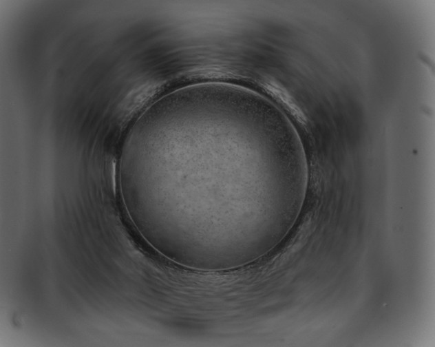 X0000093210014200709261606