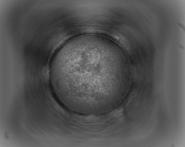 X0000093210016200709261606