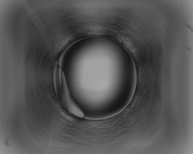 X0000093210017200709261606