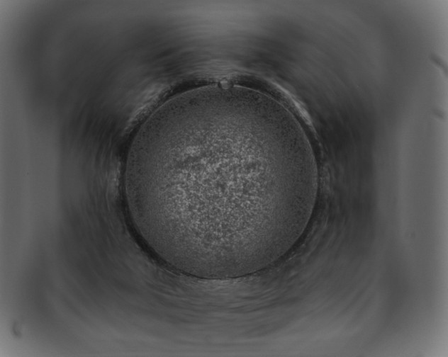 X0000093210018200709261606