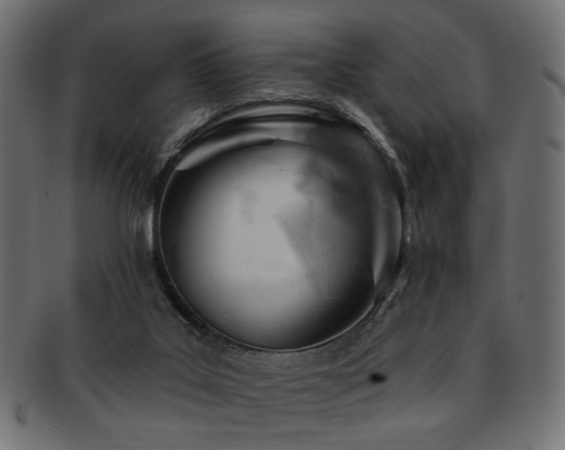 X0000093210019200709261606